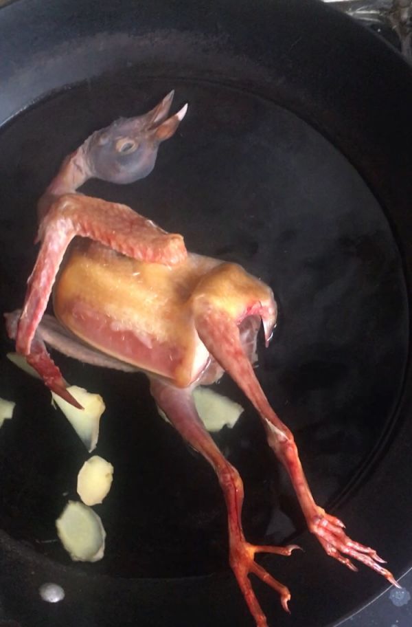 西洋参滋补养生鸽子汤