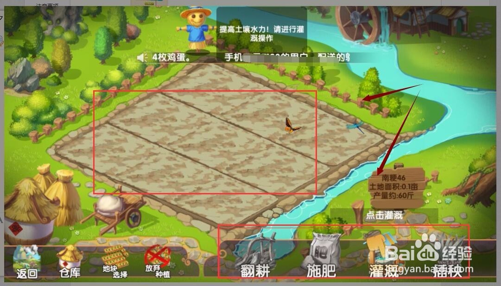 进入一乙农场领取新人奖励鸡蛋与养殖10只鹌鹑