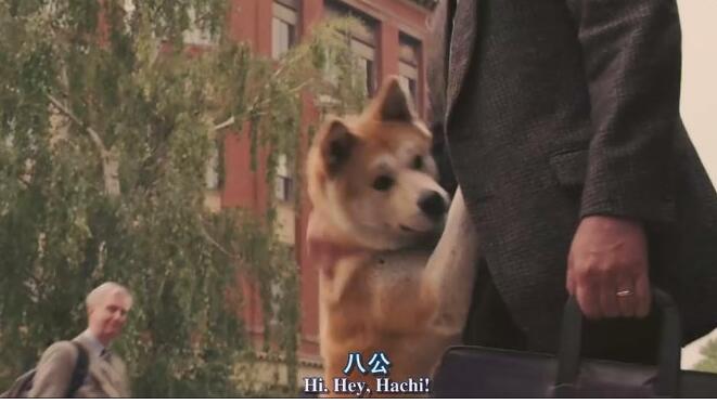 《忠犬八公》用英语怎么说