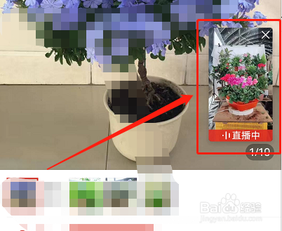 如何关闭拼多多短视频