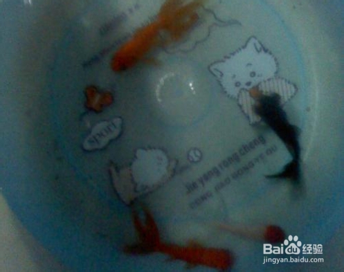 怎样简单判断生活用水的水体是否被污染