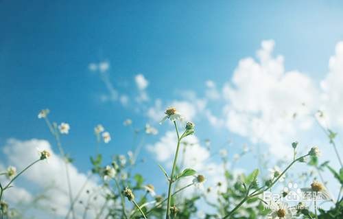 公益众筹是什么意思?取款的时候是否收费?