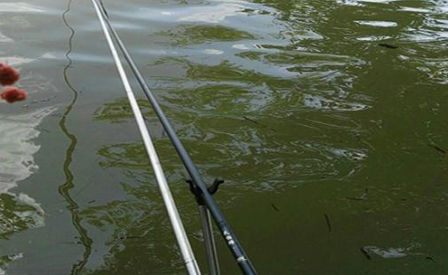 想知道钓鱼气压是什么