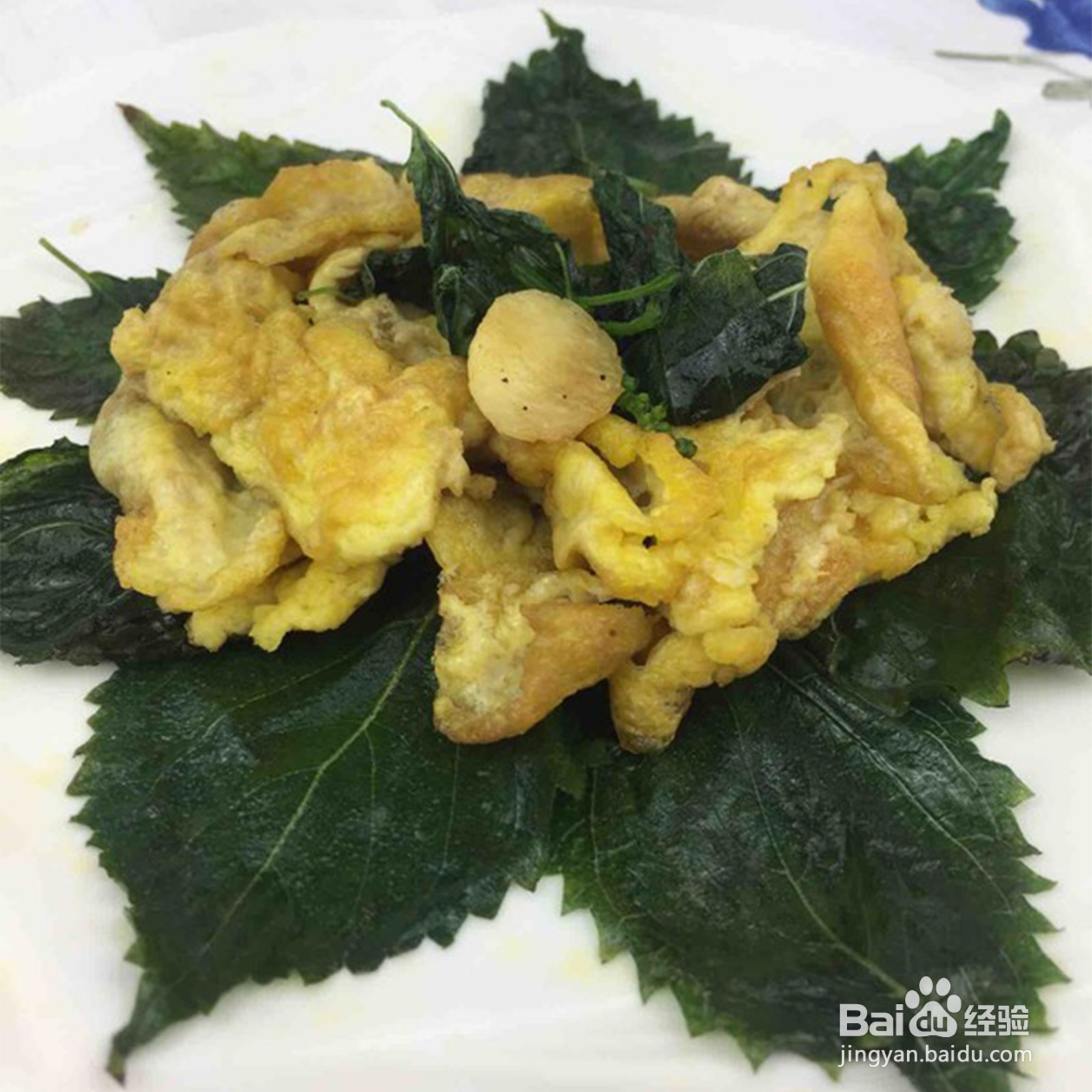 紫苏叶怎么炒吃最好吃