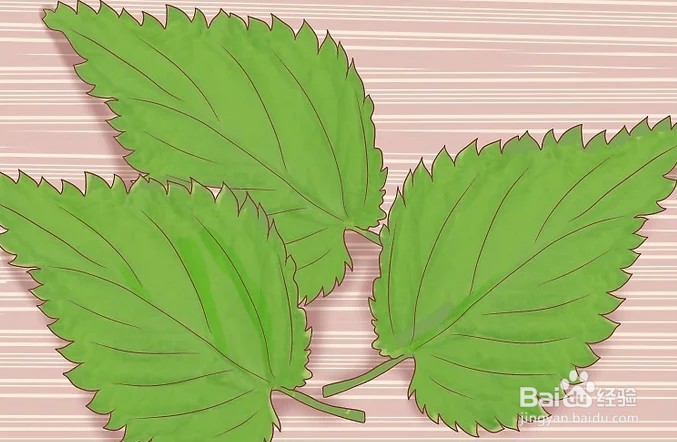 如何提高血红蛋白水平