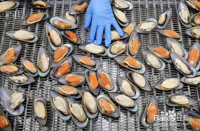制干海鲜的方法