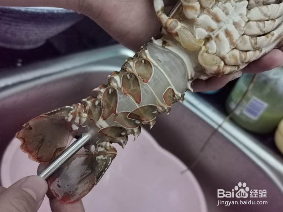 不可思议的蒜蓉粉丝蒸龙虾