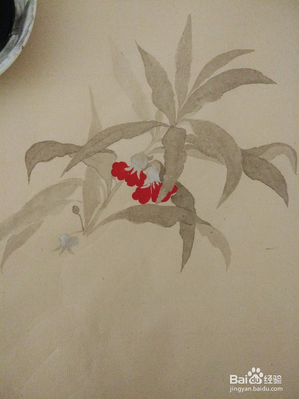 如何用没骨法画一株凤仙花