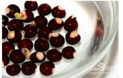 怎么做龙眼盆栽