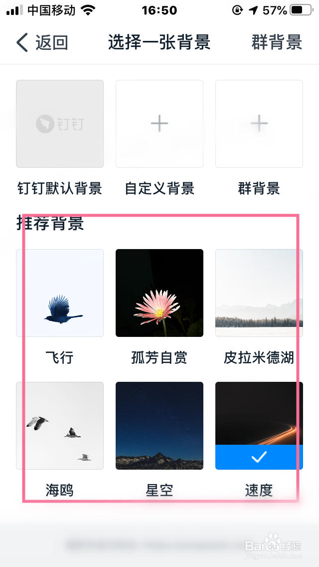 钉钉群怎么切换聊天背景（设置聊天背景）