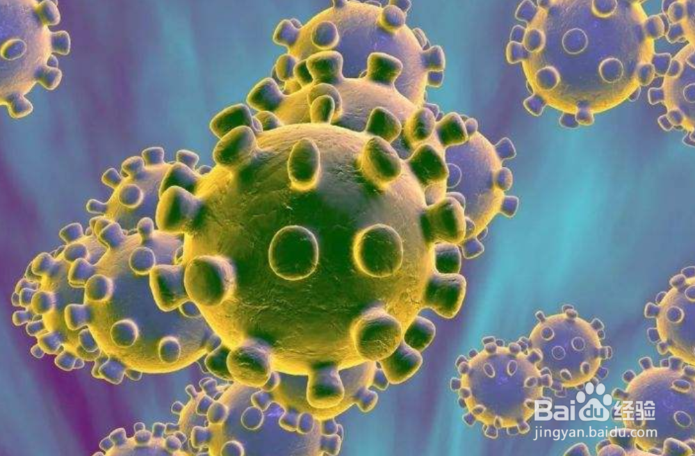 如何科学预防新型冠状病毒肺炎？