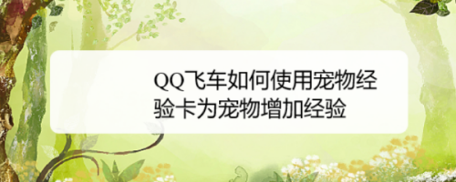 QQ飞车如何使用宠物经验卡为宠物增加经验