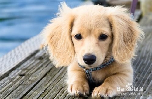 深圳香梅地铁站附近租房攻略