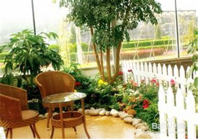 注意，家中常见的这几种花是有毒的