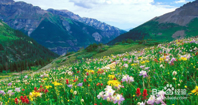 如何提高表达能力?