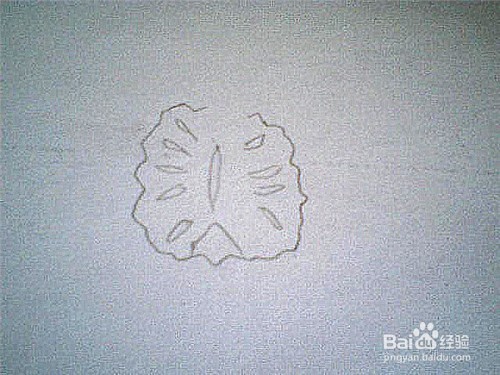 简笔画切开的菠萝这样画