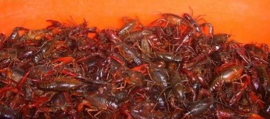 脏东西轻轻松松就出来了
