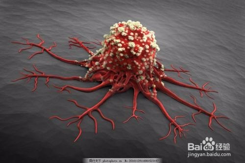 尖锐湿尤为何复发