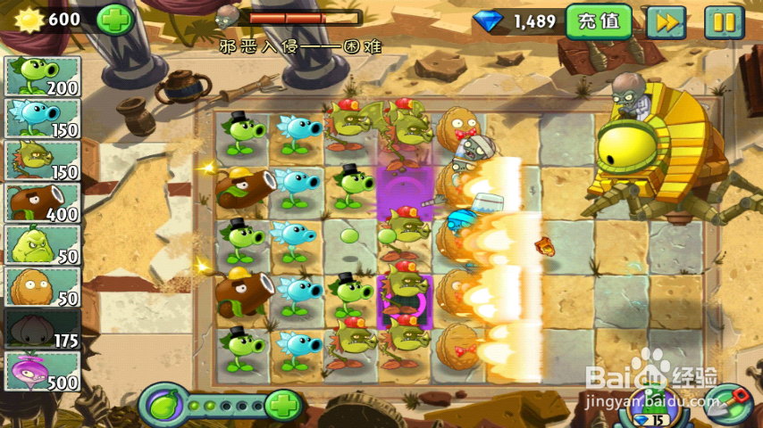 植物大战僵尸2一阶植物过传奇入侵困难