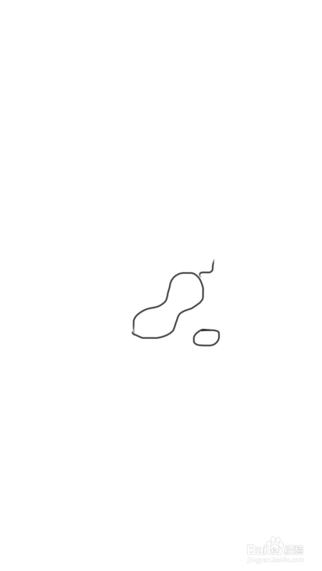 手绘涂鸦系列之怎样画花生