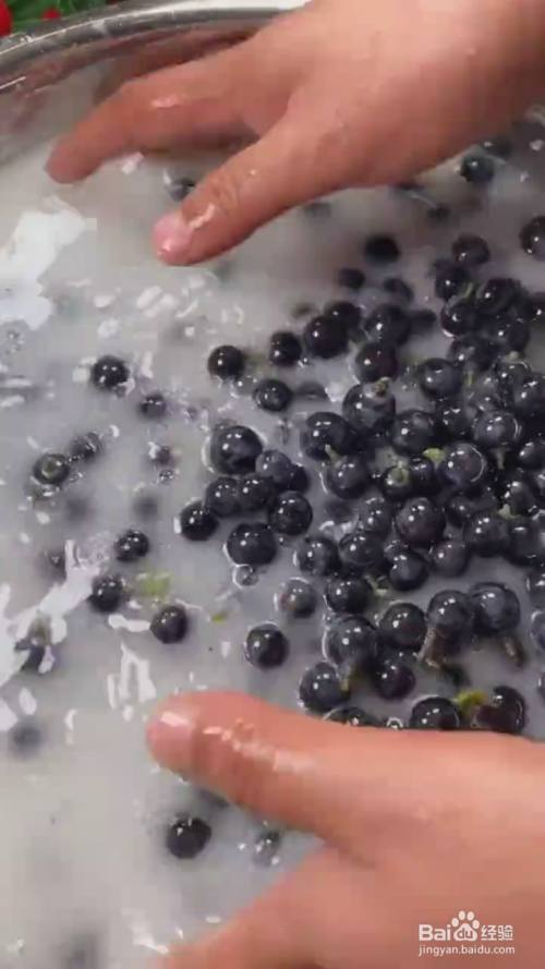 如何制作山葡萄酒