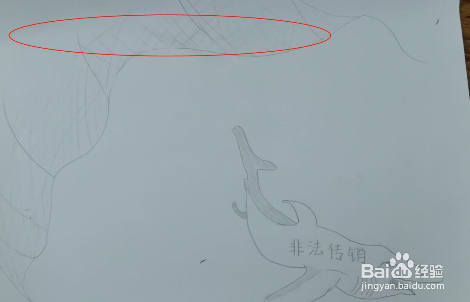 公益广告图片简笔画