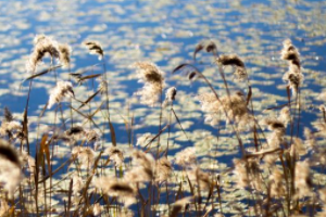 七星湖怎么游玩？