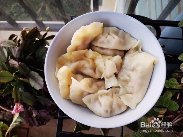 牛肉胡萝卜饺子怎么做