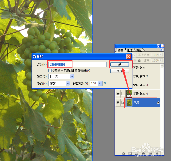 用PS复制背景图层的6种方法