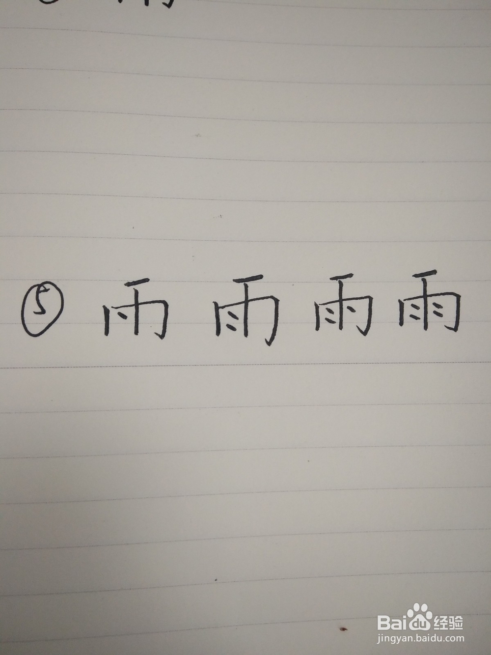 雨的笔顺写法