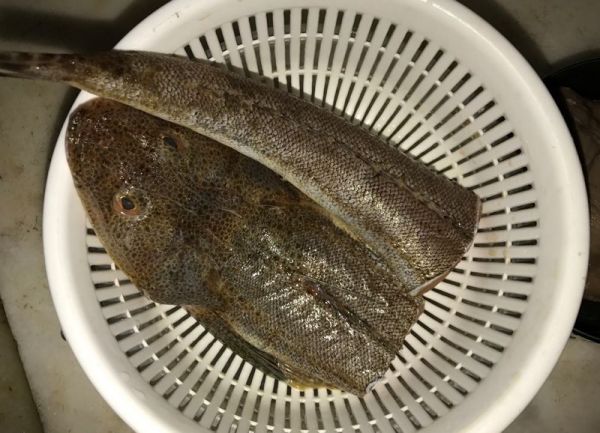 蚝豉粉葛牛尾鱼汤