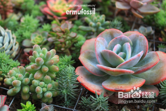 2012年6月23日 记录