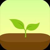 forest怎么添加应用白名单