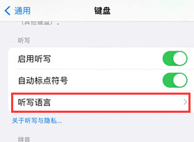 iPhone15怎么进行开启听写语言？