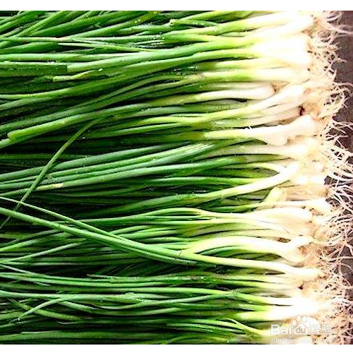 小香葱的养殖方法有哪些？