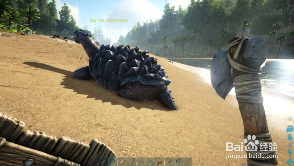 方舟生存进化如何驯服淡水碳龟