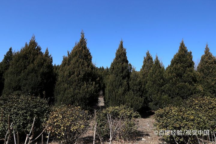 邢台市有什么好玩的景点