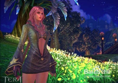 TERA]枪骑士职业战斗全攻略三