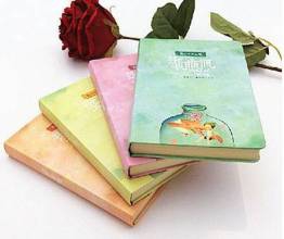 情人节送女孩什么礼物好【超详细】