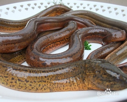 适合孩子宝宝秋季食用的食物