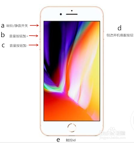 如何快速的使用苹果iPhone手机快捷键截图
