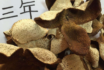 新会陈皮的年份可以用机器来检测吗?