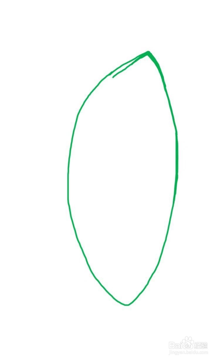 简笔画教程之毛豆