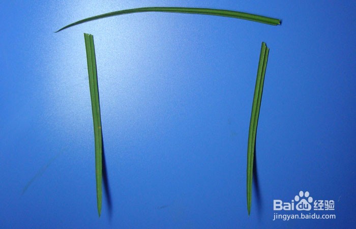 植物简笔画之快乐的思考者