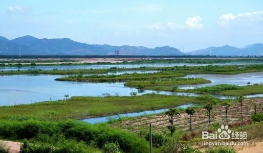 新会崖南海鲜攻略