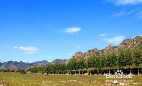 中秋坝上自驾游——如画美景