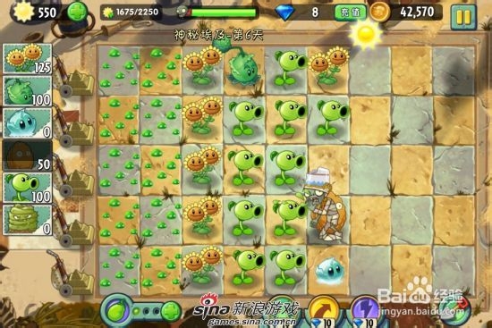 植物大战僵尸2中文版神秘埃及第六关：[2]二星