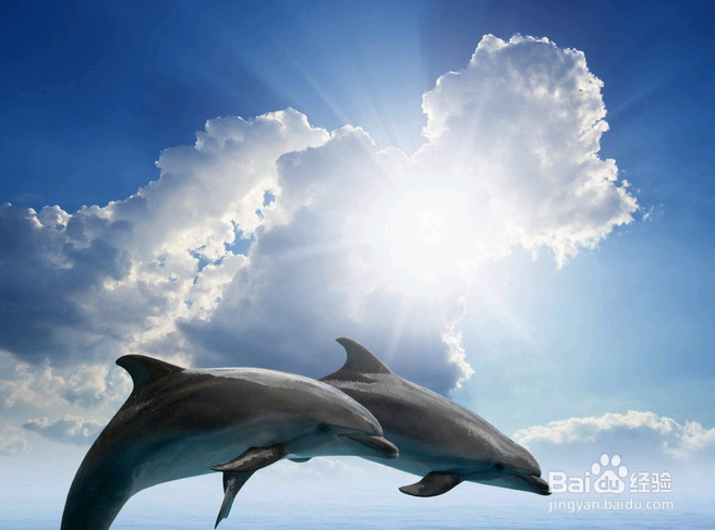 即将踏入职场的应届毕业生们，来读读职场厚黑学