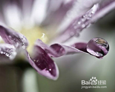 浅谈语文教学目标与方法