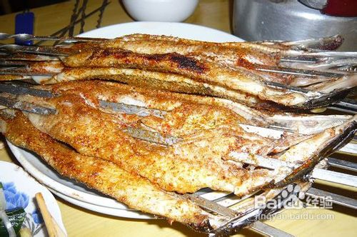 喀纳斯旅游攻略